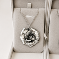 Silver Rose